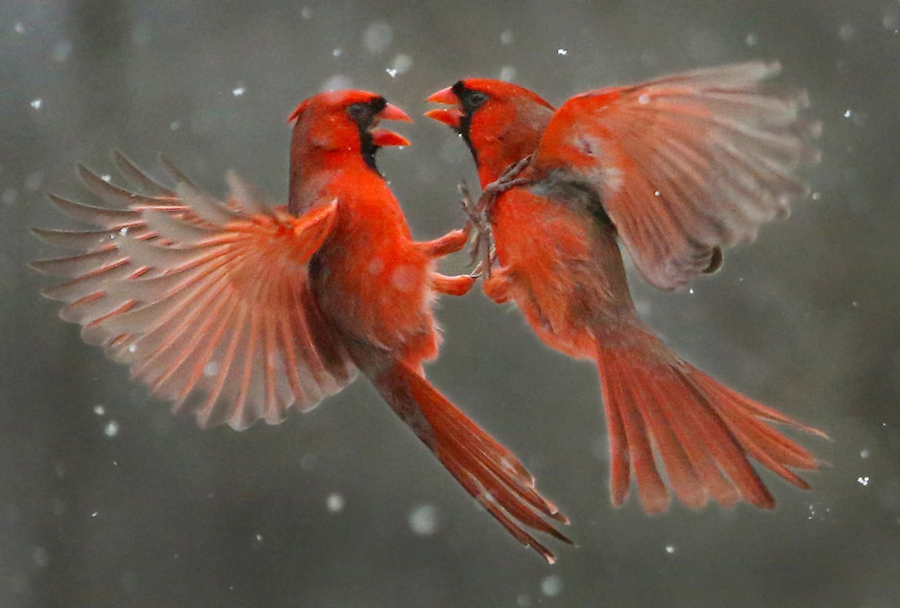 Thirty of JB Forbes' favorite photos from 2019